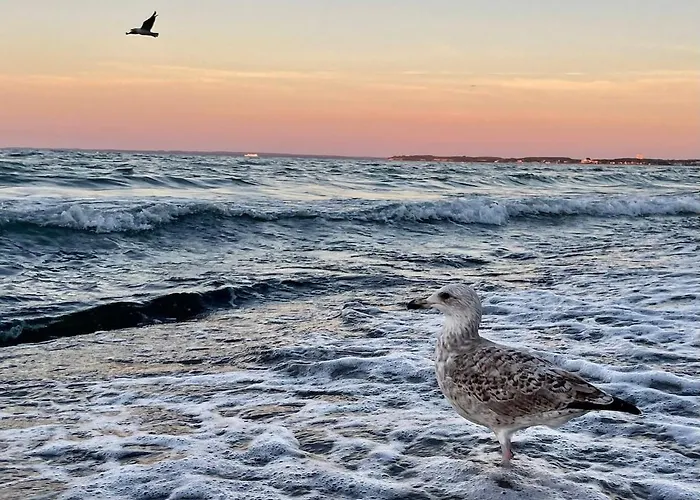 Scharbeutz, Poenitz * Scharbeutz